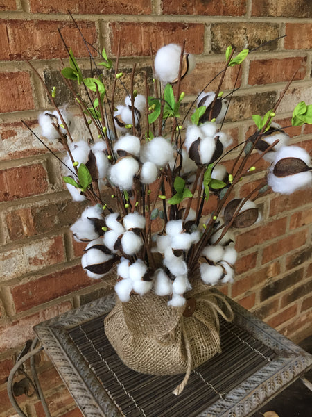 Dried Cotton Pod Floral Arrangement