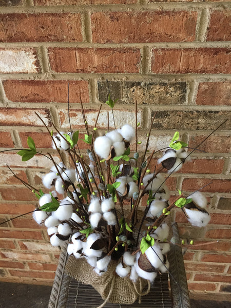 Dried Cotton Pod Floral Arrangement